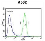 GAGE13 Antibody in Flow Cytometry (Flow)