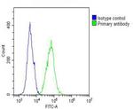 IL12RB2 Antibody in Flow Cytometry (Flow)