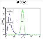 MCHR1 Antibody in Flow Cytometry (Flow)