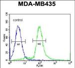 ARHGAP10 Antibody in Flow Cytometry (Flow)