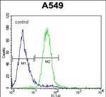 C5AR1 Antibody in Flow Cytometry (Flow)