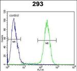 TMEM66 Antibody in Flow Cytometry (Flow)