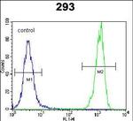 OR10H1 Antibody in Flow Cytometry (Flow)