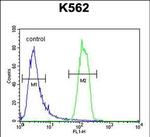 OR2M3 Antibody in Flow Cytometry (Flow)