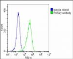 Apolipoprotein J Antibody in Flow Cytometry (Flow)