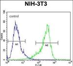 CYP26A1 Antibody in Flow Cytometry (Flow)