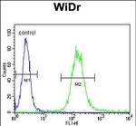 IGF1R alpha Antibody in Flow Cytometry (Flow)