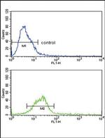 HSC70 Antibody in Flow Cytometry (Flow)