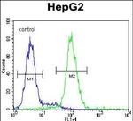 PSMD7 Antibody in Flow Cytometry (Flow)