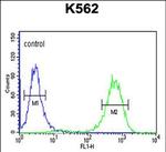 CTC1 Antibody in Flow Cytometry (Flow)