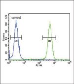 ASMT Antibody in Flow Cytometry (Flow)