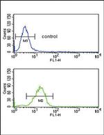 RAGE Antibody in Flow Cytometry (Flow)