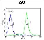 GBP7 Antibody in Flow Cytometry (Flow)