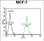 FAM20A Antibody in Flow Cytometry (Flow)