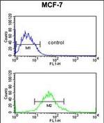 G6PD Antibody in Flow Cytometry (Flow)