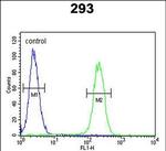 ROBO4 Antibody in Flow Cytometry (Flow)