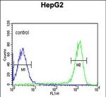 FAAH2 Antibody in Flow Cytometry (Flow)