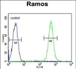 C19orf63 Antibody in Flow Cytometry (Flow)