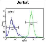 GPR41 Antibody in Flow Cytometry (Flow)