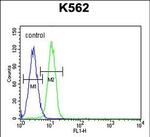 G6PC Antibody in Flow Cytometry (Flow)