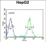 YLAT2 Antibody in Flow Cytometry (Flow)