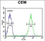 FADS2 Antibody in Flow Cytometry (Flow)