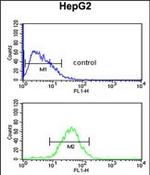 WDR43 Antibody in Flow Cytometry (Flow)