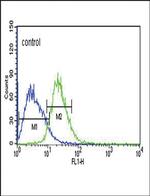 SLC25A1 Antibody in Flow Cytometry (Flow)