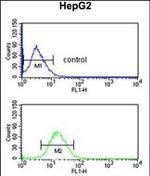 DOPA Decarboxylase Antibody in Flow Cytometry (Flow)