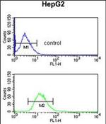 BLOC1S2 Antibody in Flow Cytometry (Flow)