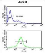 RSPO4 Antibody in Flow Cytometry (Flow)