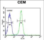 KIF24 Antibody in Flow Cytometry (Flow)