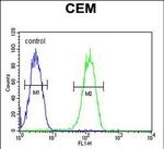 BIN2 Antibody in Flow Cytometry (Flow)