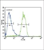 RASGRP1 Antibody in Flow Cytometry (Flow)