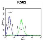 ADCY10 Antibody in Flow Cytometry (Flow)