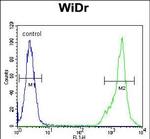 C4BPA Antibody in Flow Cytometry (Flow)