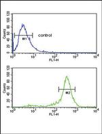 Calreticulin Antibody in Flow Cytometry (Flow)