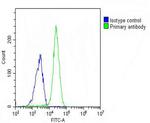 Nkx2.1 Antibody in Flow Cytometry (Flow)