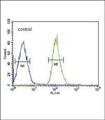 FGFR1 Antibody in Flow Cytometry (Flow)