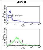 Phospholamban Antibody in Flow Cytometry (Flow)