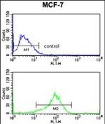 JIP1 Antibody in Flow Cytometry (Flow)