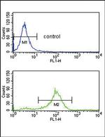 SFRP1 Antibody in Flow Cytometry (Flow)