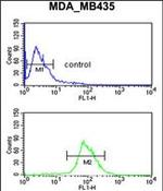 Neuropilin 1 Antibody in Flow Cytometry (Flow)