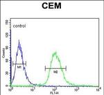 UTY Antibody in Flow Cytometry (Flow)