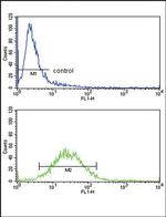 CSF3R Antibody in Flow Cytometry (Flow)