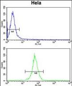 KIF11 Antibody in Flow Cytometry (Flow)