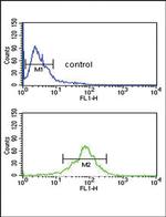 ACOT8 Antibody in Flow Cytometry (Flow)