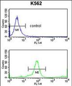 KIR3DL3 Antibody in Flow Cytometry (Flow)