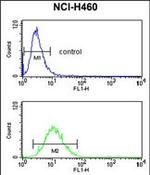 SLC25A17 Antibody in Flow Cytometry (Flow)