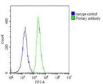 ANGPTL4 Antibody in Flow Cytometry (Flow)